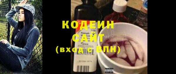 ешки Вяземский