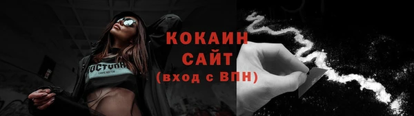ешки Вяземский