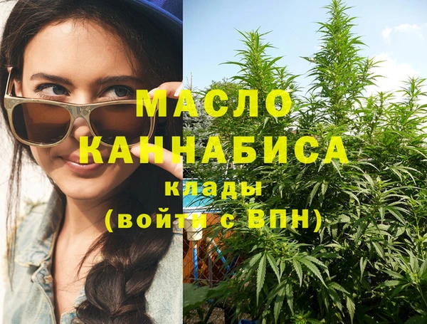 ешки Вяземский