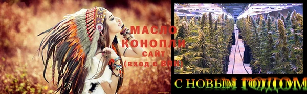 ешки Вяземский