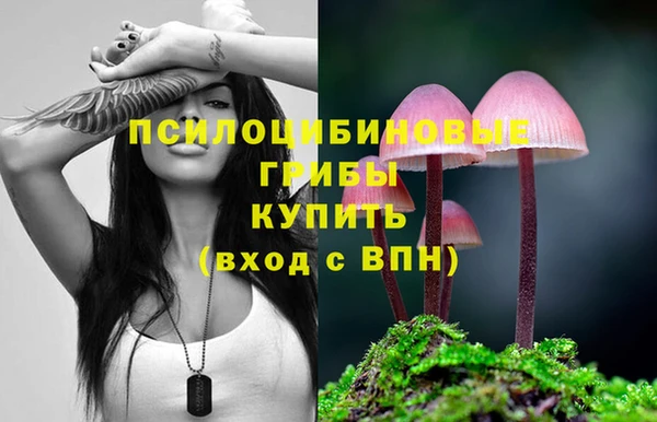 ешки Вяземский